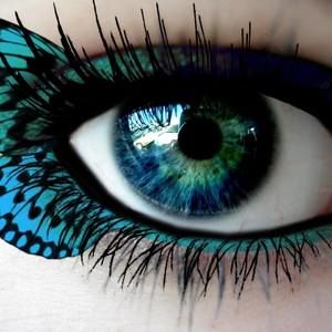 Meet your Posher, Deana